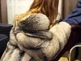 Romantic Tease in Fur for BDSM Blowjob