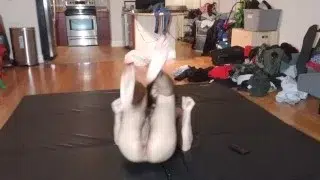 Dante Drackis – Jiu Jitsu Warmup – 9/9/2021