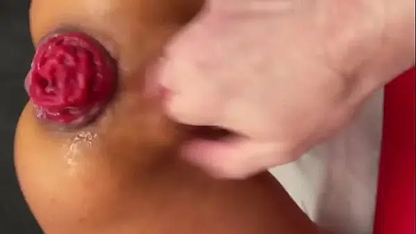 Hard Fisting And Prolapse From A Hot Bitch Monika Fox On Valentine’s Day