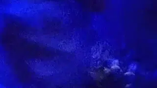 Milagro sa banyo wet, soapy and horny