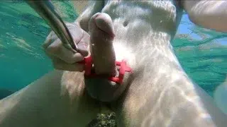 Wow, my screams! Cumming with my selfie stick while snorkeling made me moan like never before