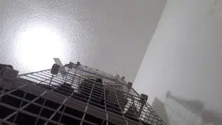 Ass Fuking Dildo