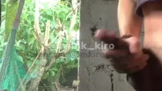 JAKOL SERIES 4: JAKOL SA ABANDONADONG BAHAY