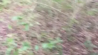 Johnnie Lover Get’s Caught Sucking Nathan Seaberry’s Dick On Public Trail Outdoors POV