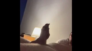 Massive cumshot