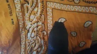 men small dick handjob masturbation cumming juice