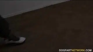 MILF babe Kiki Daire Gets Interviewed at DogFart