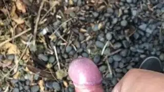 My little phimosis penis erects