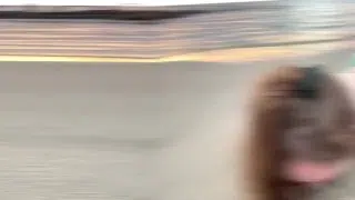 Oral Creampie (Compilation)