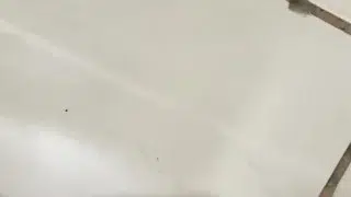 roludo batendo uma punheta