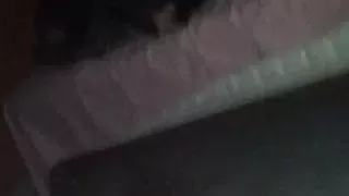 Rico joven versátil con gordo latino