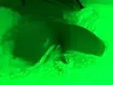 Solo girls masturbate until orgasm for