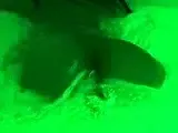 Solo girls masturbate until orgasm for